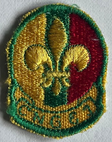 Scout cngei distintivo - distintivo, di