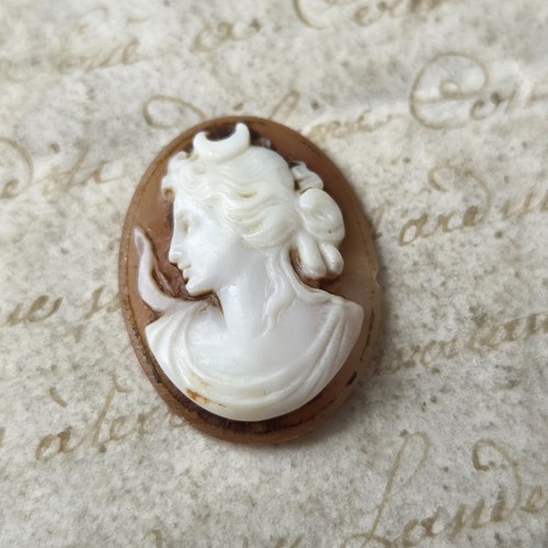 Antico cameo conchiglia epoca