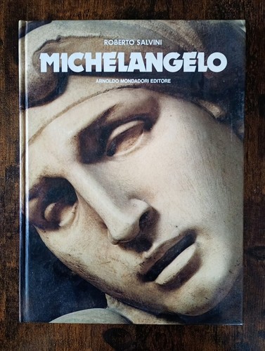 Roberto salvini michelangelo - roberto,