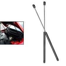 2pz Puntoni Supporto