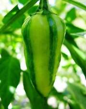 FISH PEPPER Peperoncino, 25 semi + OMAGGIO