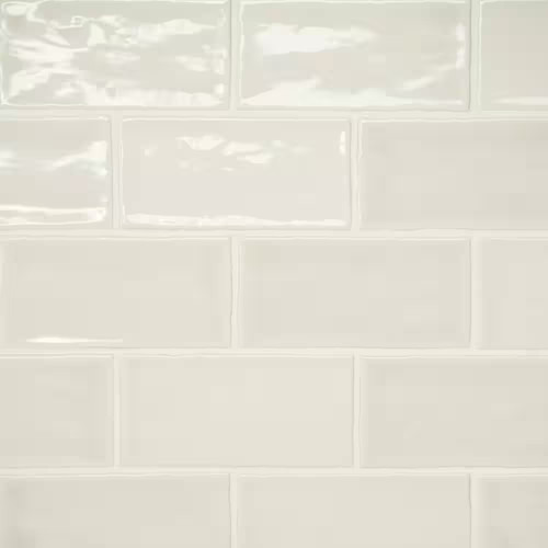Marin glossy sand dollar - glossy,