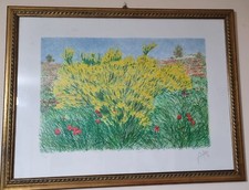 Ginestre Litografia A Colori Franco Azzinari Autentico