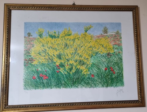 Ginestre litografia colori - litografia, a