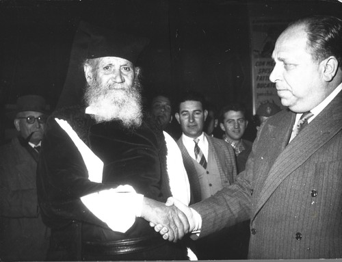 Foto autore nostra razza - foto,