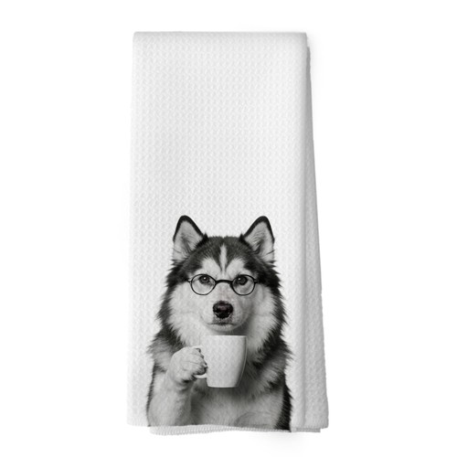 Divertente alaskan malamute - divertente,