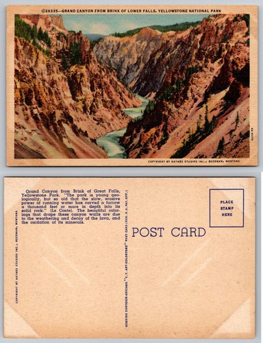 Cartolina grand canyon lower - cartolina,
