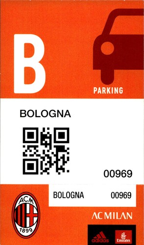 Biglietto stadio parking - biglietto,