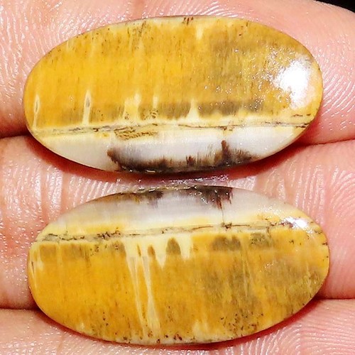 100 natural yellow tiger - yellow, bee