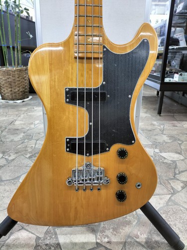 Basso elettrico gibson - elettrico,