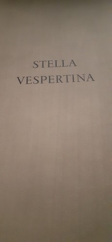 Stella vespertina georges - vespertina,