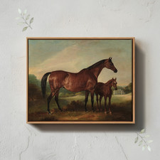 Quadro Vintage Cavallo e