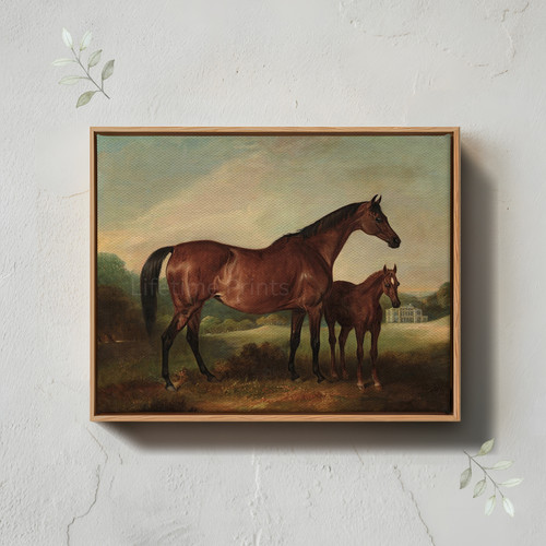 Quadro vintage cavallo - quadro,