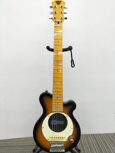 Pignose pgg 100 chitarra con - pgg-100,