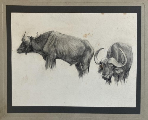 Antique master drawing - antique, of