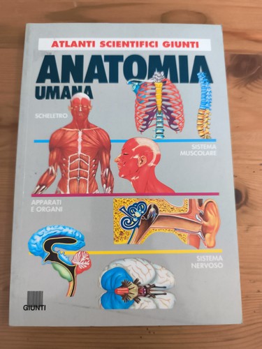 Anatomia umana atlante - umana,