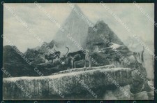 Roma Città Giardino Zoologico