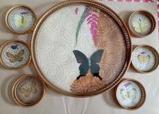 Vassoio in legno e vetro con 6 vassoietti motivo "Farfalle"