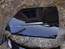 plastica sportelli smart 451