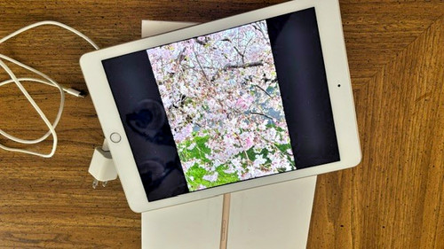Apple ipad - apple,