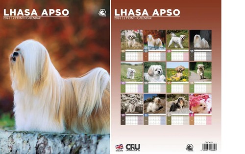Lhasa apso 2026 calendar a3 - calendar,