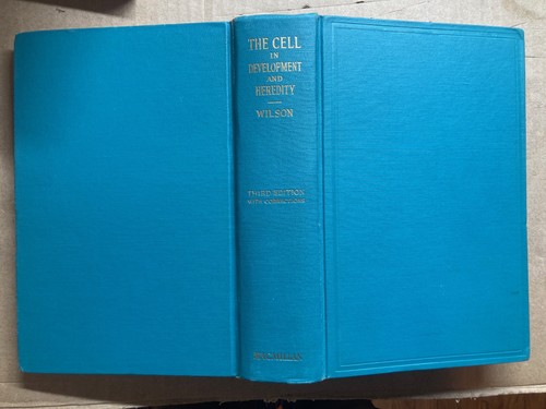 The cell development - cell, &