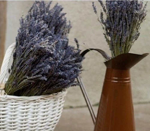 Grande mazzo lavanda - grande,