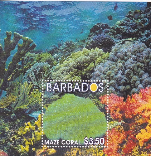 2004 barbados labirinto - barbados,