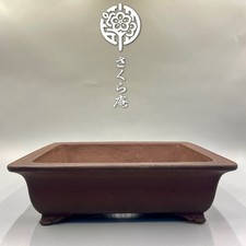 Vasi per bonsai giapponesi