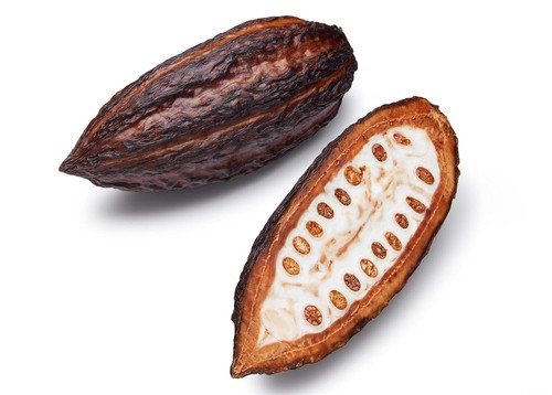 Confezione baccello cacao - confezione,