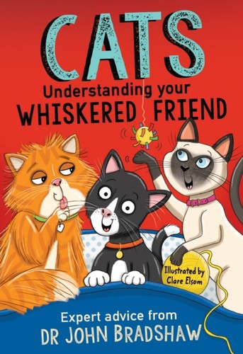 Cats understanding your - understanding,