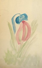 Natura morta espressionista