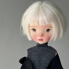 1/6 BJD bambola resina snodata