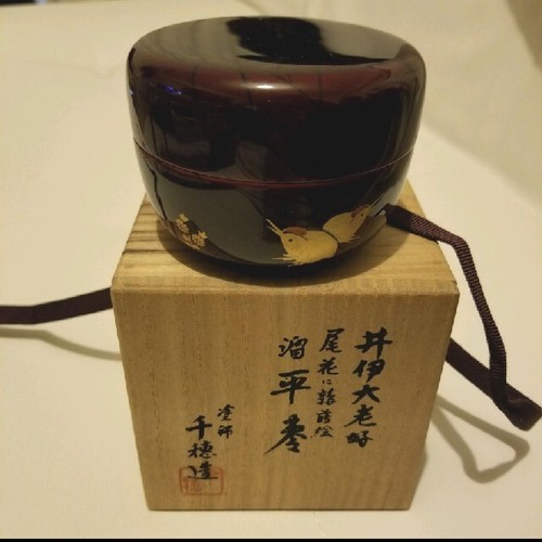 Chiho giapponese pampa - giapponese, erba