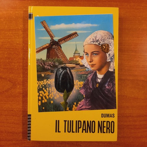 Tulipano nero alexandre - il,