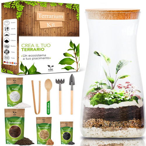 Terrarium kit diy per - terrarium,