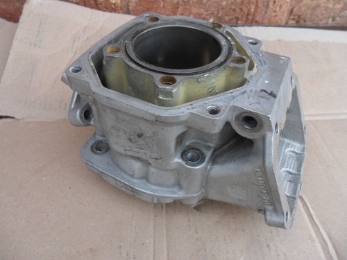 Rotax max mini canna - max,