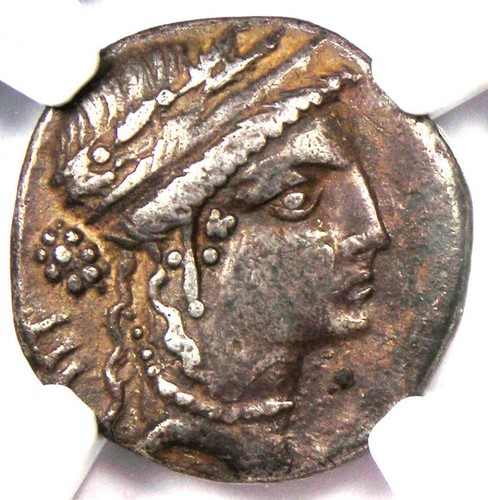 Moneta denario giulio - moneta,