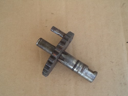 Testi motore minarelli - -,