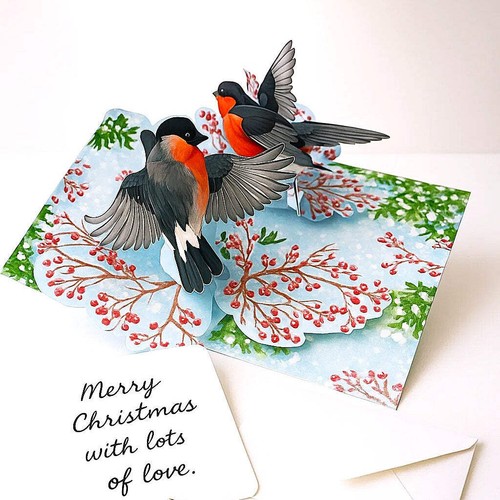 Love birds pop - birds, 3d
