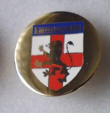 Distintivo spilla smaltata