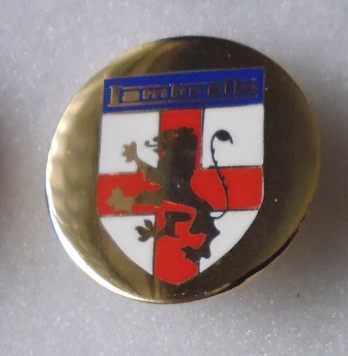 Distintivo spilla smaltata