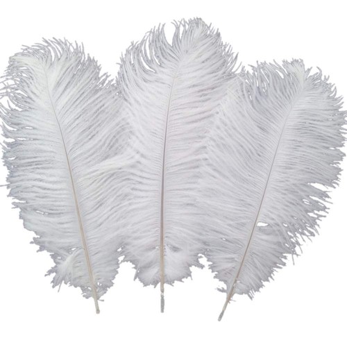 Piume struzzo sowder - struzzo,