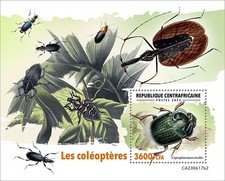 Coleotteri