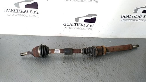 Semialbero ant per ford - semialbero, dx