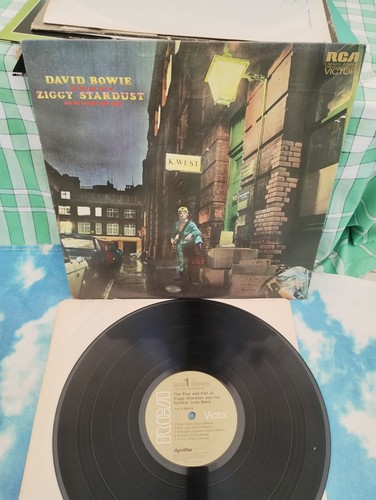 David bowie the rise fall - the,