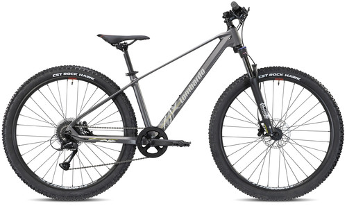 Bici bicicletta mountabike - bicicletta,