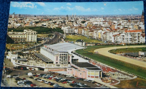 53456 cavalli corse - 53456, di