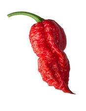 Peperoncino semi - Hot Pepper