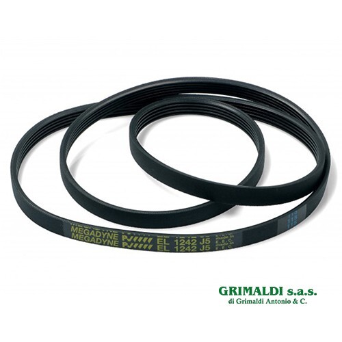 Cinghia poly 1242 traino - cinghia, poly-v